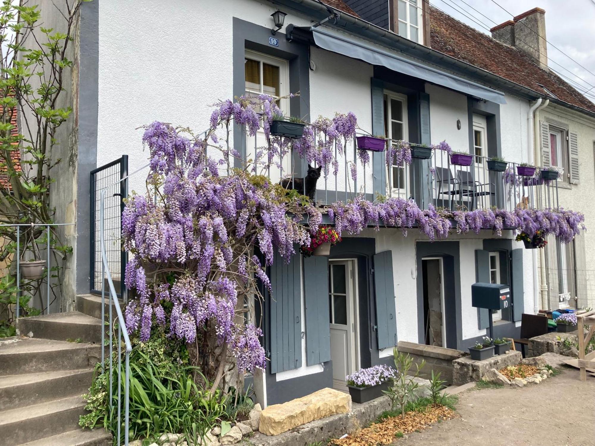 Le Lodge De Serenite Cuffy Kültér fotó