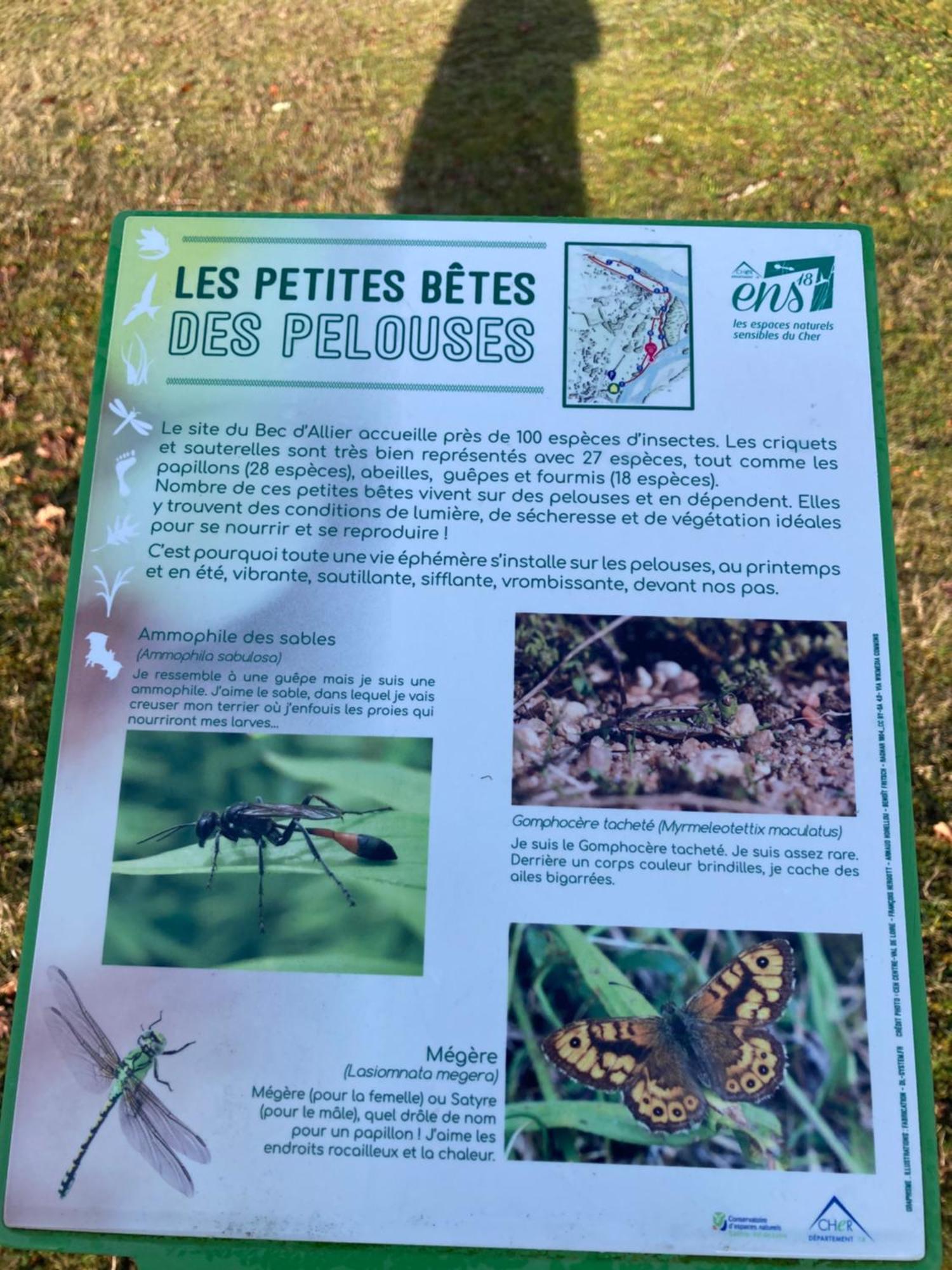 Le Lodge De Serenite Cuffy Kültér fotó
